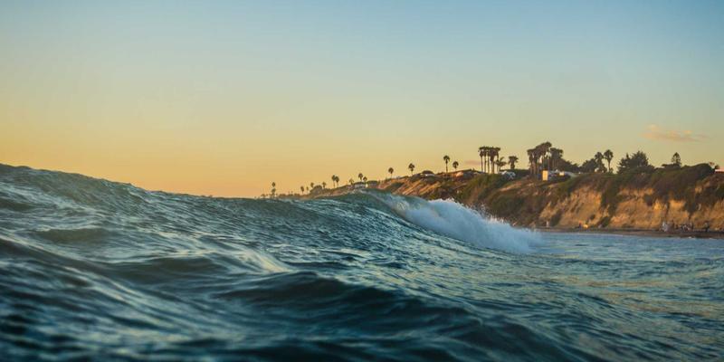 2024年网络技术趋势解读:从技术博客到实战资源的全景指南