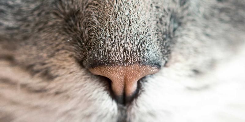 QQ110资源分享平台深度评测：技术资源获取的新兴渠道与价值分析