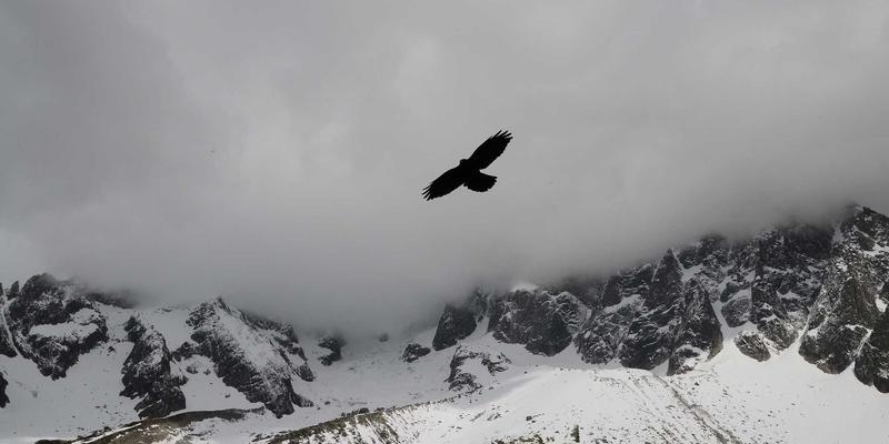 Wi-Fi 6/6E技术深度解析：如何彻底解决高密度场景下的网络拥堵与容量瓶颈