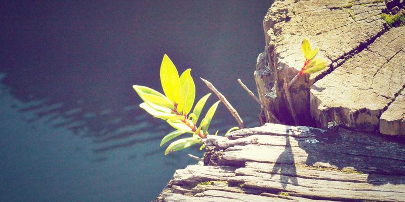 构建坚不可摧的网络韧性：QQ110技术资源揭示DDoS防御与灾难恢复核心策略