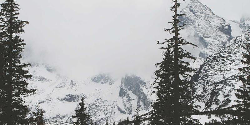 网络功能虚拟化(NFV)如何降低运营商成本：一份深度技术资源分享与网络教程