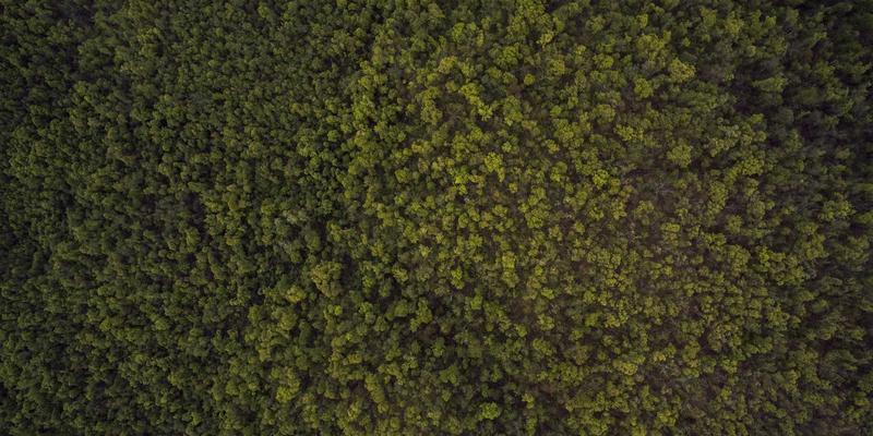 网络即服务（NaaS）模式深度探索：企业如何按需消费网络能力与安全功能