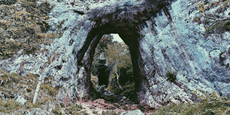 网络技术98:解锁高效资源分享与协作的新范式