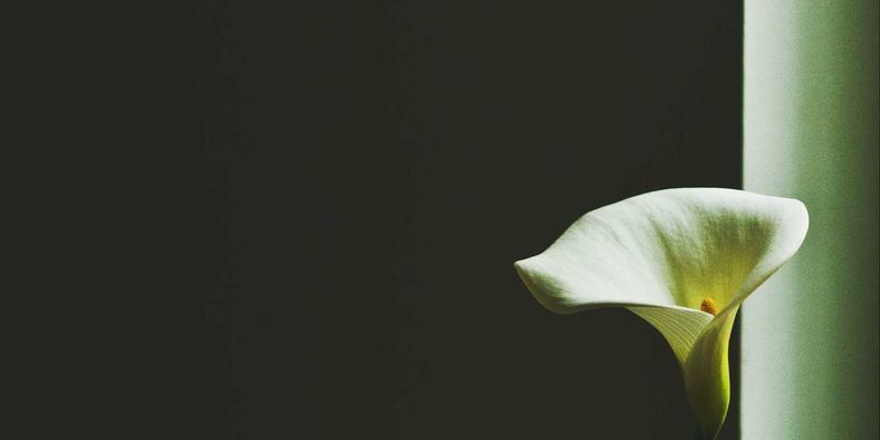 网络技术资源全攻略：从入门到精通的实用指南