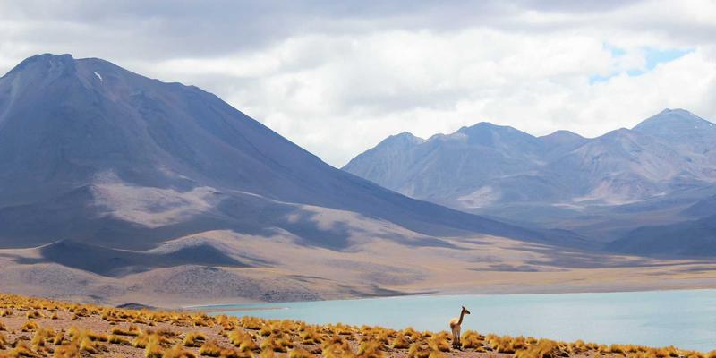 网络技术资源宝库：如何通过优质技术博客与资源分享实现技能跃迁