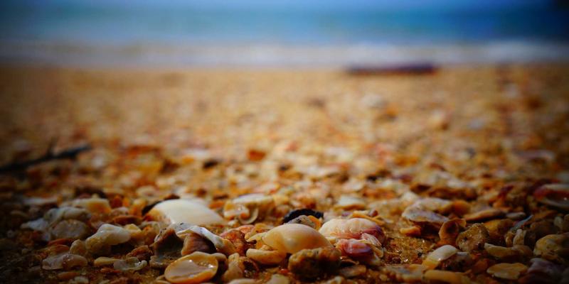 网络数据包代理（NPB）与网络可视化：构建安全监控的“智慧之眼” | 网络教程