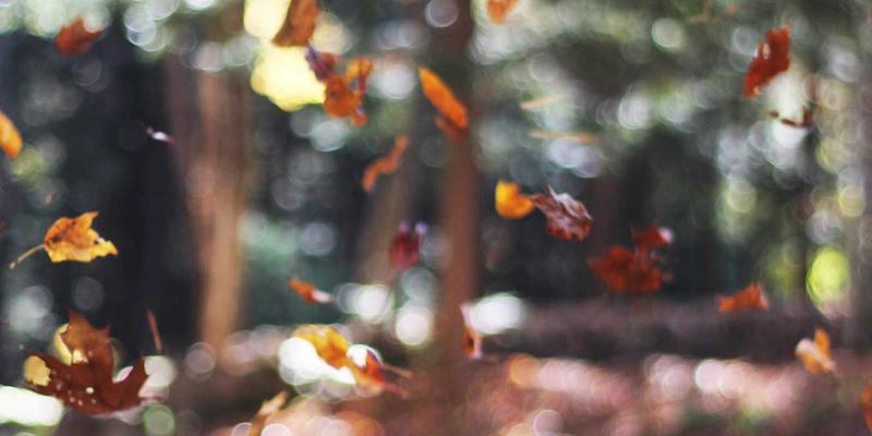 超融合基础设施网络设计指南：优化存储与计算流量，释放HCI性能潜力